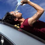 دانلود آهنگ Dominic Fike Wallflower
